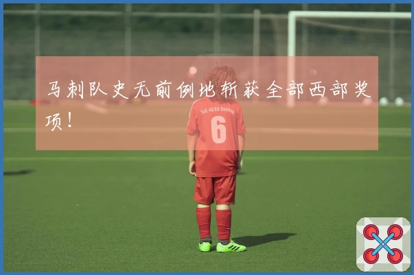 马刺队史无前例地斩获全部西部奖项！